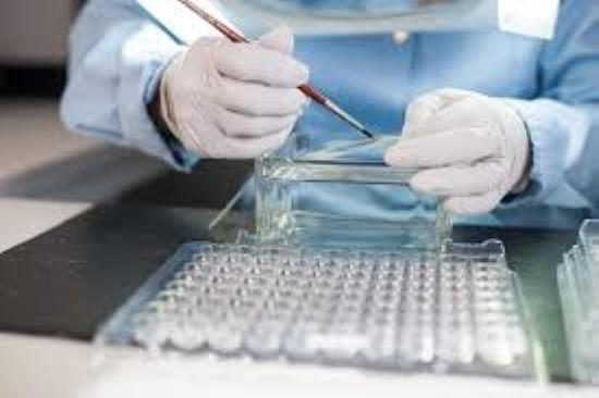 Carousel Bootstrap First